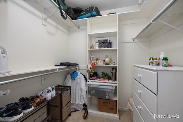 2331 Deer Trail Dr NE, Grand Rapids, MI 49505 - walk in closet featuring light carpet