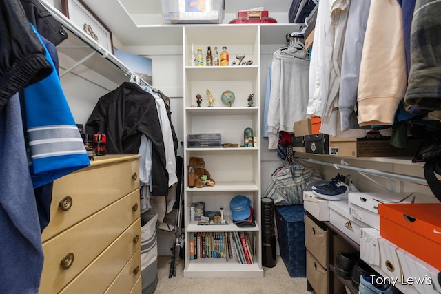 2331 Deer Trail Dr NE, Grand Rapids, MI 49505 - walk in closet with carpet