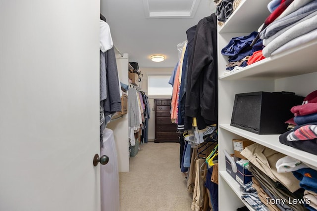 2331 Deer Trail Dr NE, Grand Rapids, MI 49505 - walk in closet featuring light colored carpet and attic access