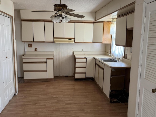2456 Kurt Rd, Benton Harbor, MI 49022 - kitchen featuring under cabinet range hood, ceiling fan, wood finished floors, a textured ceiling, and light countertops