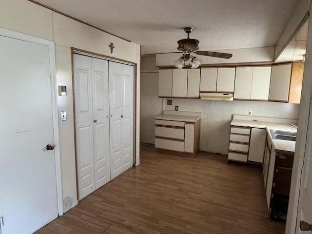 2456 Kurt Rd, Benton Harbor, MI 49022 - kitchen with under cabinet range hood, a ceiling fan, dark wood-style flooring, a textured ceiling, and light countertops
