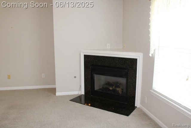 23413 Williamsburg Cir Unit 12, Woodhaven, MI 48183 - detailed view of carpet flooring and a fireplace with flush hearth