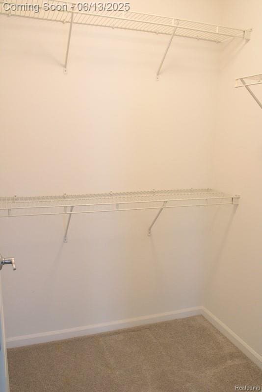 23413 Williamsburg Cir Unit 12, Woodhaven, MI 48183 - walk in closet with carpet flooring