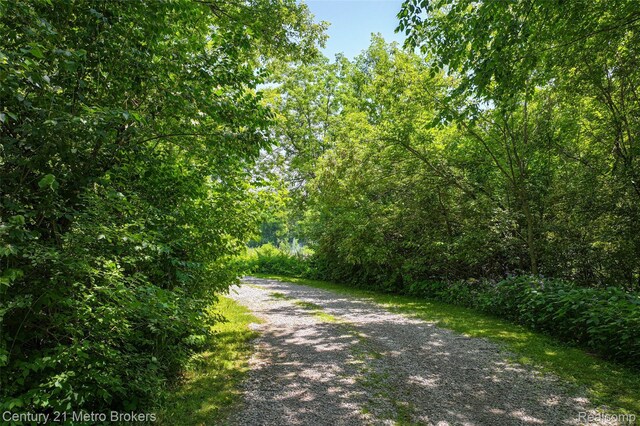 1938 Mayfield Rd, Lapeer, MI 48446 - photo 51