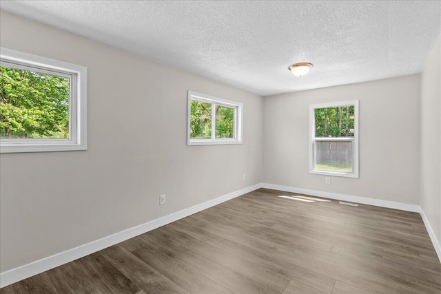 1178 Drent Rd, Muskegon, MI 49442 - unfurnished room featuring healthy amount of natural light, wood finished floors, and a textured ceiling