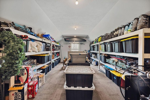 2753 Colton Dr, Berrien Springs, MI 49103 - view of storage