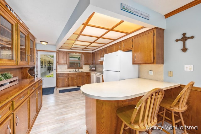 1861 Elizabeth Ln E, Jenison, MI 49428 - kitchen with white appliances, a peninsula, light wood finished floors, brown cabinets, and light countertops