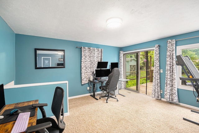 3923 Perry Ave SW, Wyoming, MI 49519 - home office featuring carpet flooring and a textured ceiling