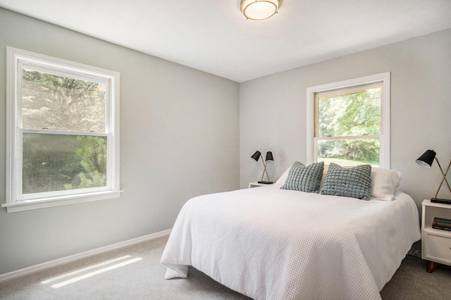 3737 Peach Ridge Ave NW, Grand Rapids, MI 49544 - bedroom with multiple windows and carpet floors
