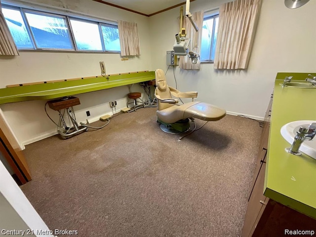 106 N Marquette St, Durand, MI 48429 - interior space with a sink and ornamental molding