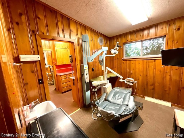 106 N Marquette St, Durand, MI 48429 - workout area with carpet floors and wood walls
