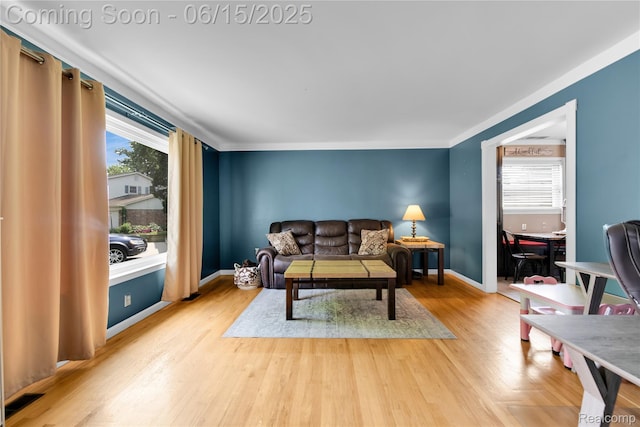 22086 Hillcrest Ct, Woodhaven, MI 48183 - living area featuring plenty of natural light and light wood finished floors