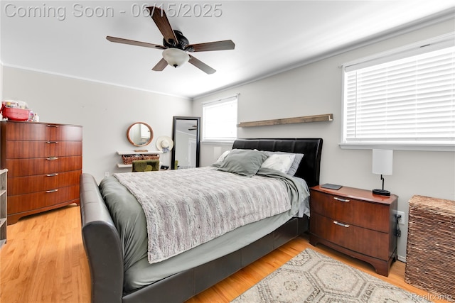 22086 Hillcrest Ct, Woodhaven, MI 48183 - bedroom with light wood finished floors, a ceiling fan, and ornamental molding