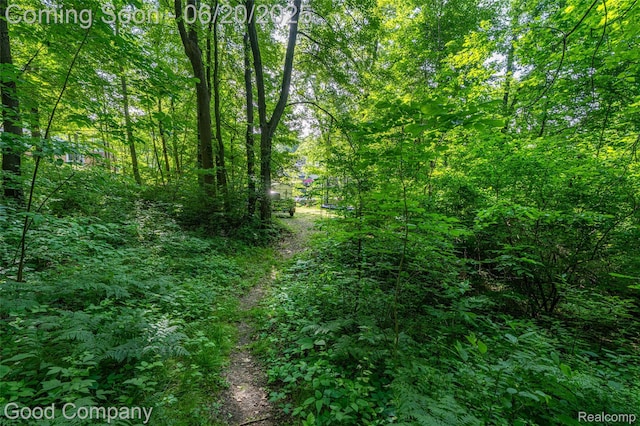 115 Audubon Dr, White Lake, MI 48383 - view of wooded area