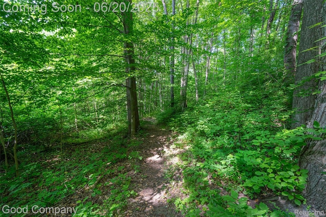 115 Audubon Dr, White Lake, MI 48383 - view of wooded area