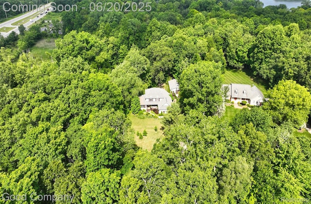 115 Audubon Dr, White Lake, MI 48383 - view of subject property with a forest