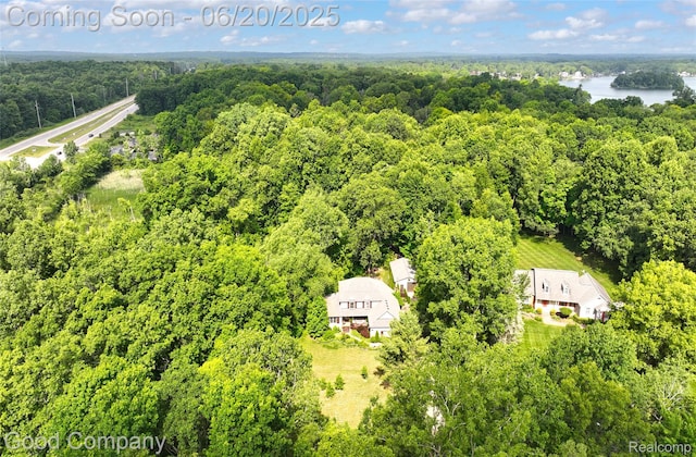 115 Audubon Dr, White Lake, MI 48383 - aerial view of a heavily wooded area and a nearby body of water