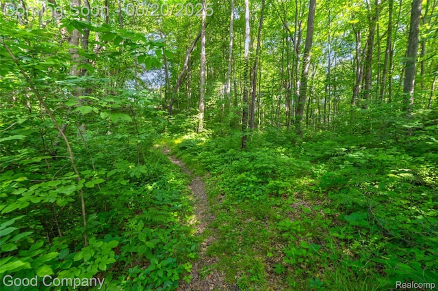115 Audubon Dr, White Lake, MI 48383 - view of tree filled area