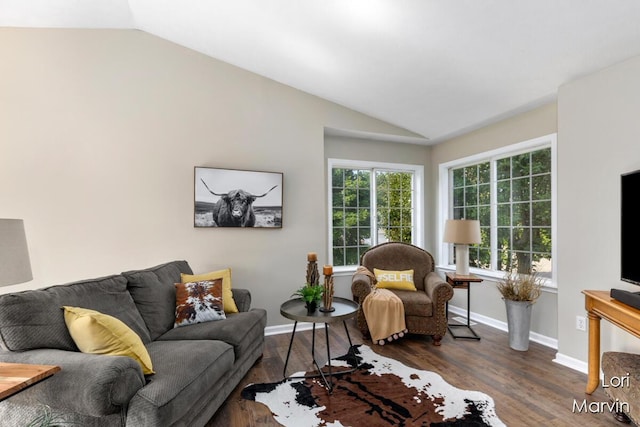 704 Pecan Ct NW, Grand Rapids, MI 49504 - living room with lofted ceiling and dark wood-style floors