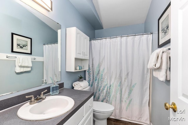 704 Pecan Ct NW, Grand Rapids, MI 49504 - full bathroom featuring vanity, curtained shower, and wood finished floors