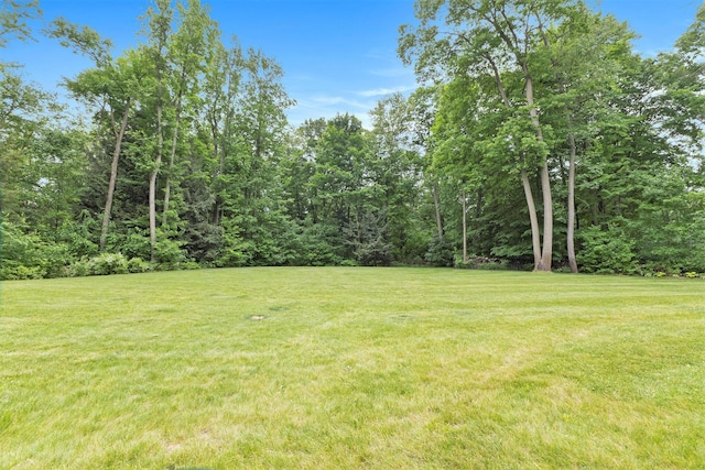 14110 168th Ave, Grand Haven, MI 49417 - view of green lawn featuring a forest view