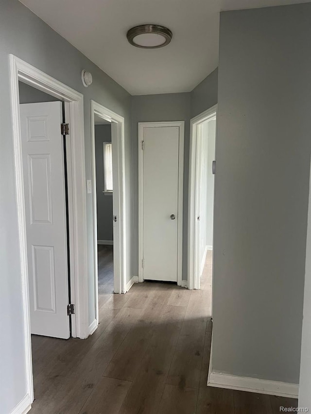 1435 Jeffrey Ln, Inkster, MI 48141 - hall featuring wood finished floors and baseboards
