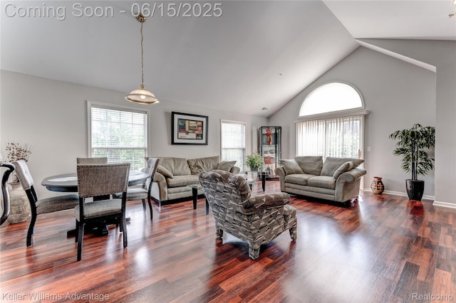 28498 Carlton Way Dr, Novi, MI 48377 - living area featuring high vaulted ceiling and dark wood-style flooring