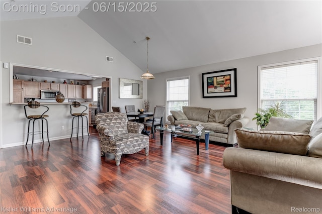 28498 Carlton Way Dr, Novi, MI 48377 - living area with dark wood-style flooring and high vaulted ceiling