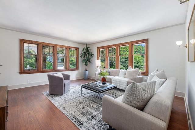 1412 4th St NW, Grand Rapids, MI 49504 - living area with plenty of natural light, dark wood-style floors, and crown molding