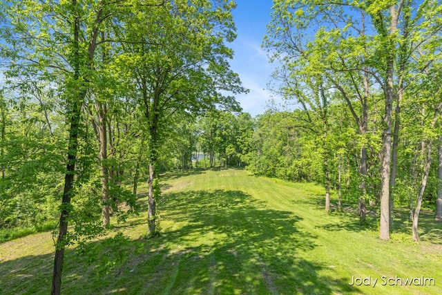 5820 Grace Hwy, Sunfield, MI 48890 - view of green lawn