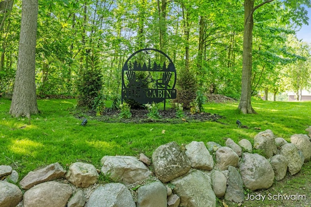 5820 Grace Hwy, Sunfield, MI 48890 - view of yard