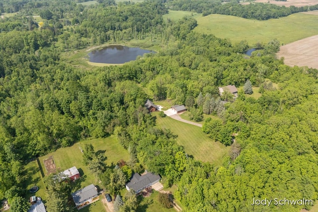 5820 Grace Hwy, Sunfield, MI 48890 - view of property location with a large body of water and a heavily wooded area
