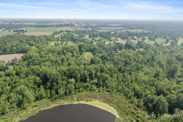 5820 Grace Hwy, Sunfield, MI 48890 - bird's eye view of a nearby body of water and a forest