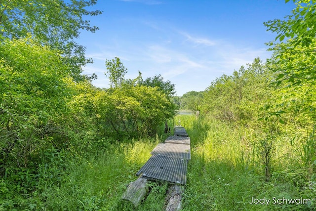 5820 Grace Hwy, Sunfield, MI 48890 - view of street