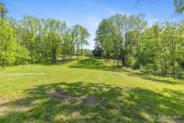 5820 Grace Hwy, Sunfield, MI 48890 - view of grassy yard