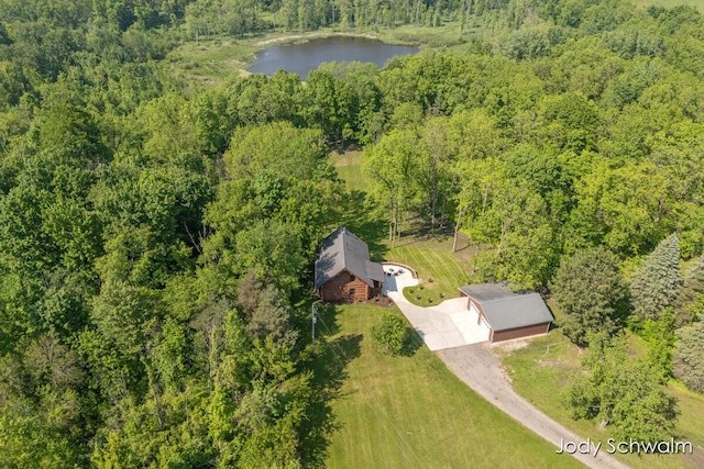 5820 Grace Hwy, Sunfield, MI 48890 - view from above of property with a heavily wooded area and a nearby body of water