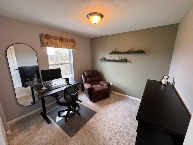 1131 Odell Farm Ln, Vicksburg, MI 49097 - carpeted home office featuring baseboards and a textured ceiling