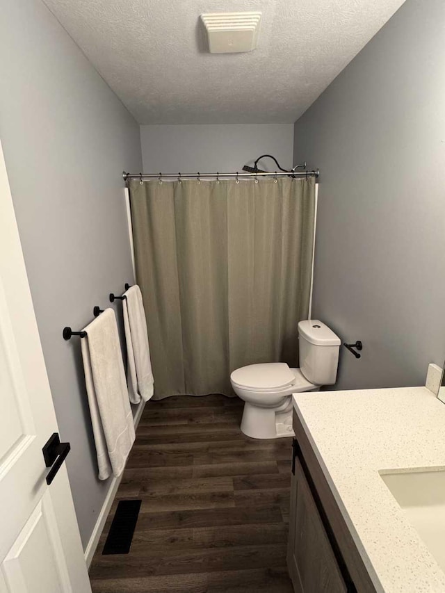 1131 Odell Farm Ln, Vicksburg, MI 49097 - bathroom with vanity, a textured ceiling, wood finished floors, and a shower with shower curtain