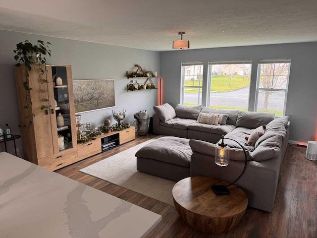1131 Odell Farm Ln, Vicksburg, MI 49097 - living area featuring wood finished floors