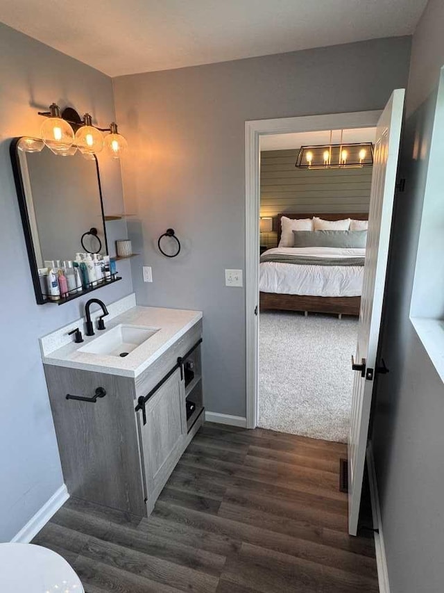 1131 Odell Farm Ln, Vicksburg, MI 49097 - ensuite bathroom with vanity and wood finished floors