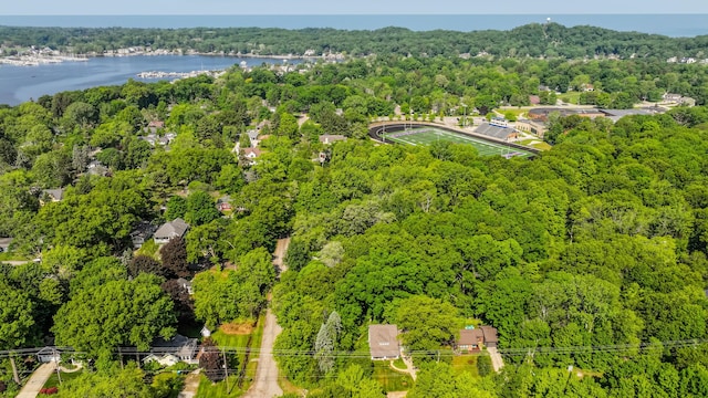 212 N Maple St, Saugatuck, MI 49453 - drone / aerial view of a forest and a large body of water