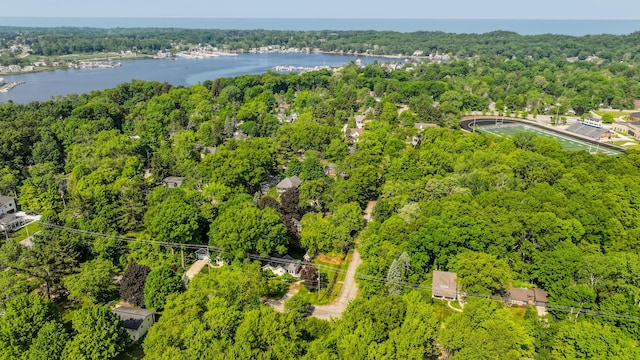 212 N Maple St, Saugatuck, MI 49453 - bird's eye view of a large body of water and a forest