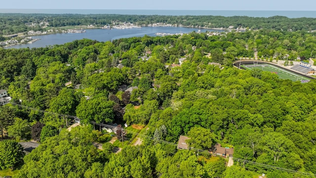 212 N Maple St, Saugatuck, MI 49453 - aerial view of a forest and a large body of water