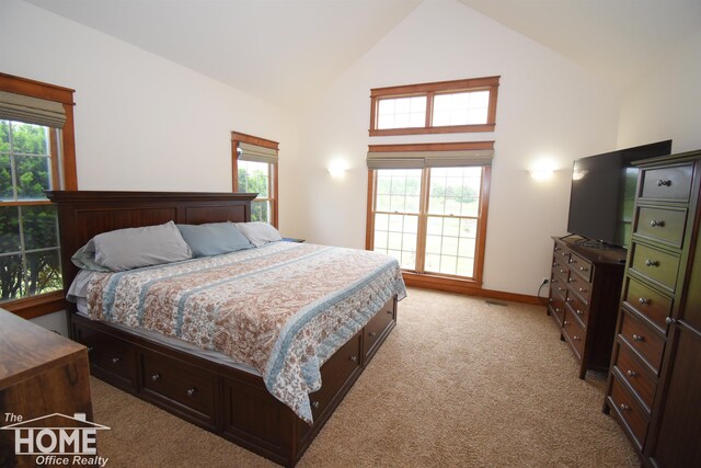 2411 Escott Rd, Owosso, MI 48867 - bedroom featuring light carpet, high vaulted ceiling, and multiple windows