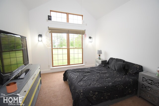 2411 Escott Rd, Owosso, MI 48867 - carpeted bedroom featuring high vaulted ceiling and baseboards