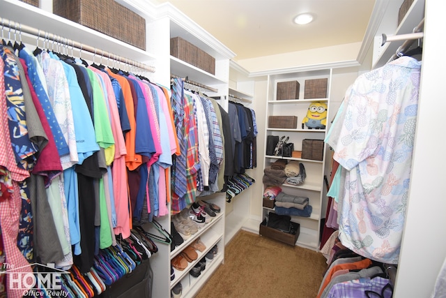 2411 Escott Rd, Owosso, MI 48867 - walk in closet with carpet floors