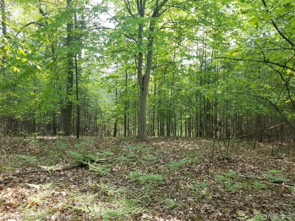 115 E Birmingham, Yates, MI 49642