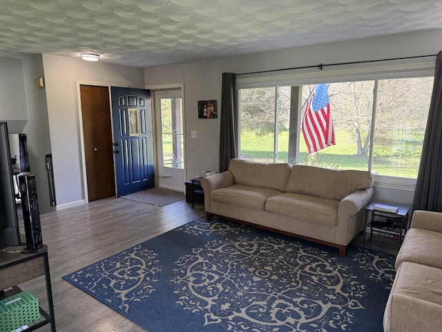 11199 Edgewood Rd, Bellevue, MI 49021 - living area with wood finished floors and baseboards