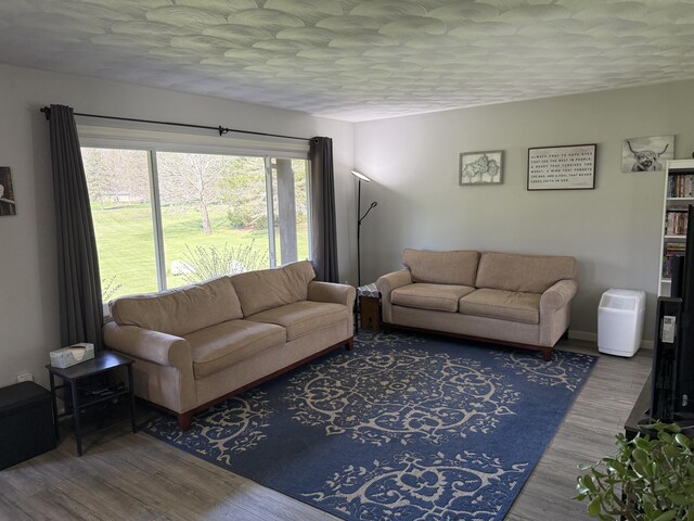 11199 Edgewood Rd, Bellevue, MI 49021 - living room with wood finished floors and a textured ceiling