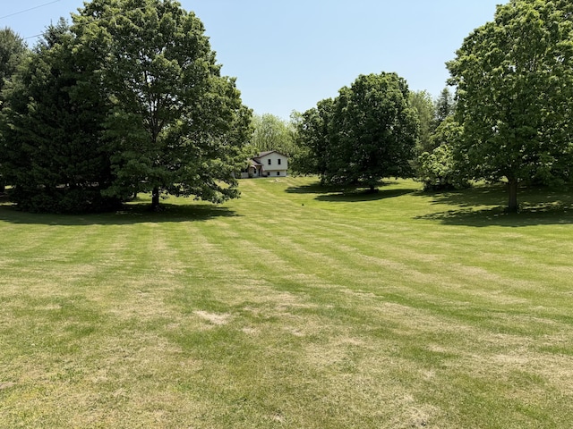 11199 Edgewood Rd, Bellevue, MI 49021 - view of grassy yard